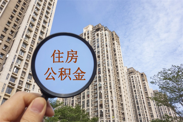 嘉鱼辞职了补充公积金能取不（辞职后补充公积金如何提取）