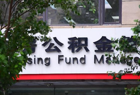 嘉鱼公积金怎么取封存（怎么取封存的公积金）